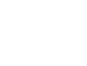 Zonk logo animation