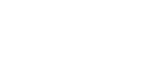 ZONK outline